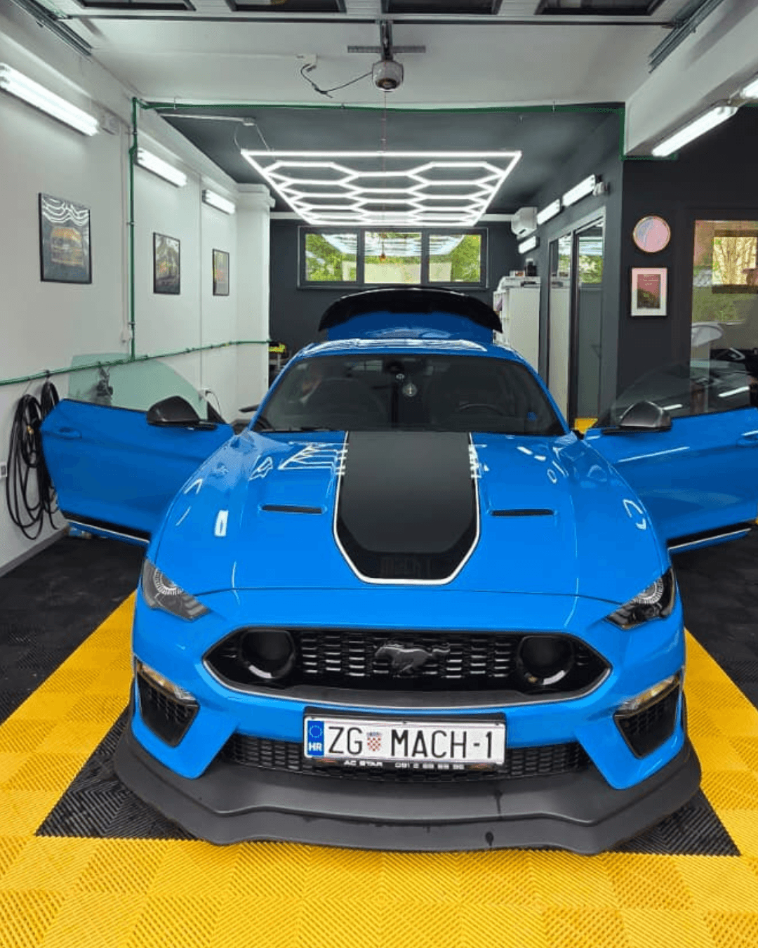 Untitled design (10)